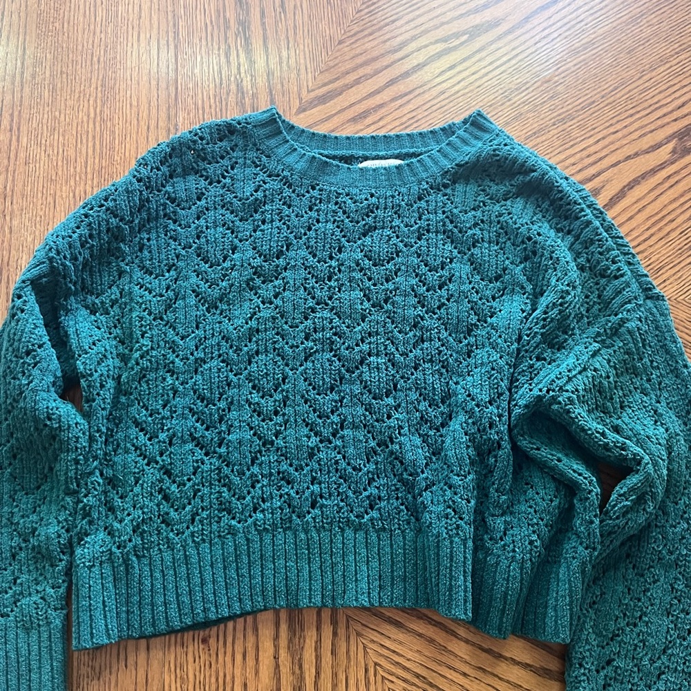 Dark Green American Eagle Cropped Sweater